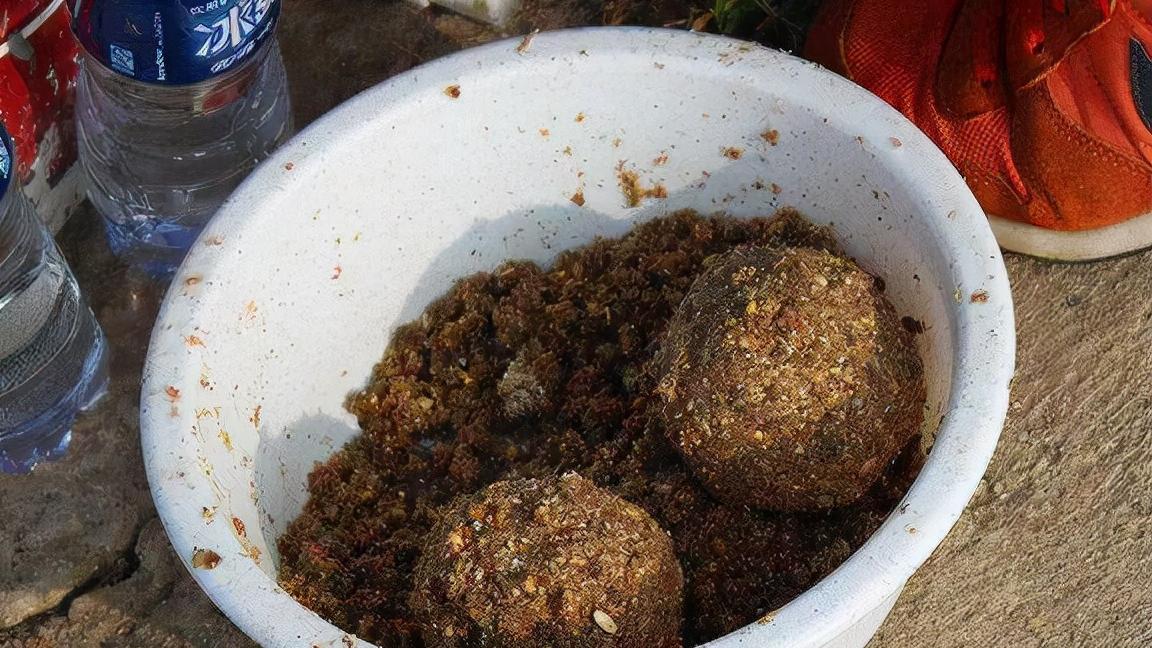 草鱼|野钓试试这两种打窝方法，专门针对鲤鱼和草鱼，鱼口一竿接一竿