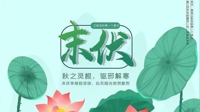 土豆|今日末伏，再忙也要吃这5种“扶阳”食物，补充营养，平安入秋