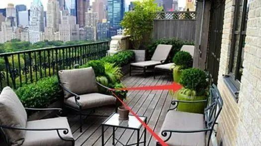 一旦阳台上摆放这些宝贝，你就偷着乐吧，这是大发横财的前兆！