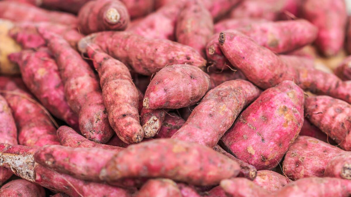 |同样红薯，“白心红薯”“红心红薯”区别这么大，搞懂再买不吃亏
