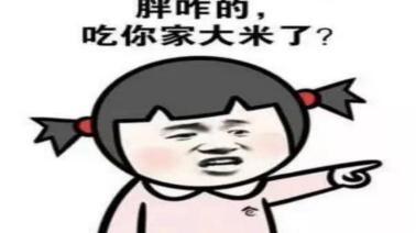 |家有小胖墩怎么办