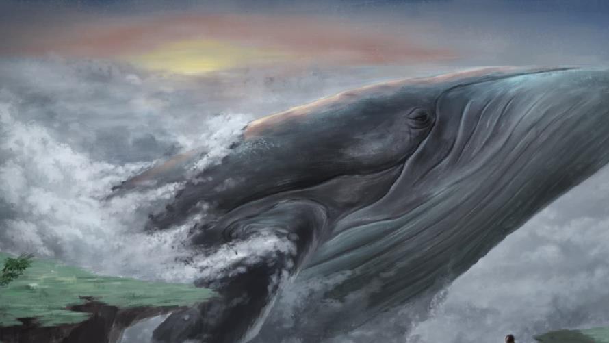 鲸鱼 鲸鱼的尸体沉入大海后，会发生啥？哺“暗界”众生十五年