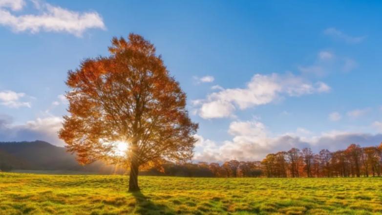 玄风命理|看看孩子该怎么培养，未来人生如何？