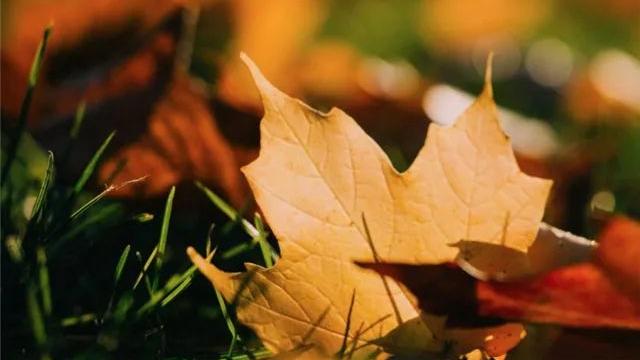 陪读时间|劝世诗：朝朝无闲趣，年年有怅惆
