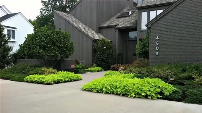 这个设计感十足，色彩斑斓的现代庭院，真漂亮！