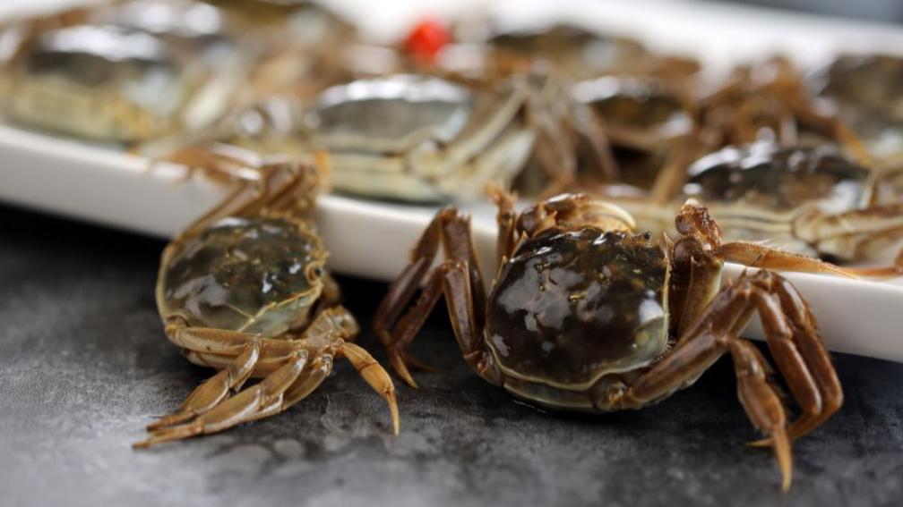 原创丨又到一年吃蟹季 螃蟹死了还能吃吗？