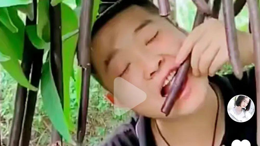 短发 果实有毒，却被炒成“网红食品”，号称越吃越瘦，太没底线了
