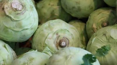 最精辟的一句话|芜菁甘蓝与结球甘蓝有什么区别？怎么种植？