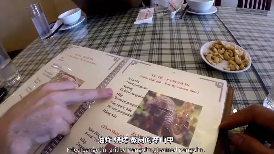 子芫伴你成长|“1500元一次寻人乳”，有人喂养孩子有人美颜：无知的人有多可怕