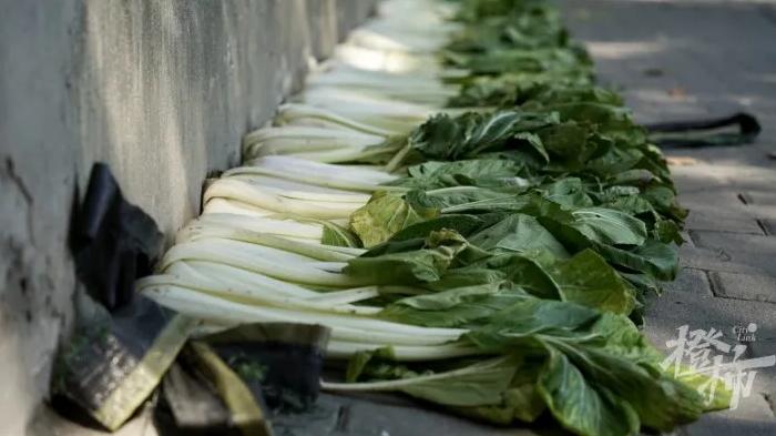 腌菜|路边又出现它们啦，一排排地晒太阳！买还要预定，脚越臭它越香？