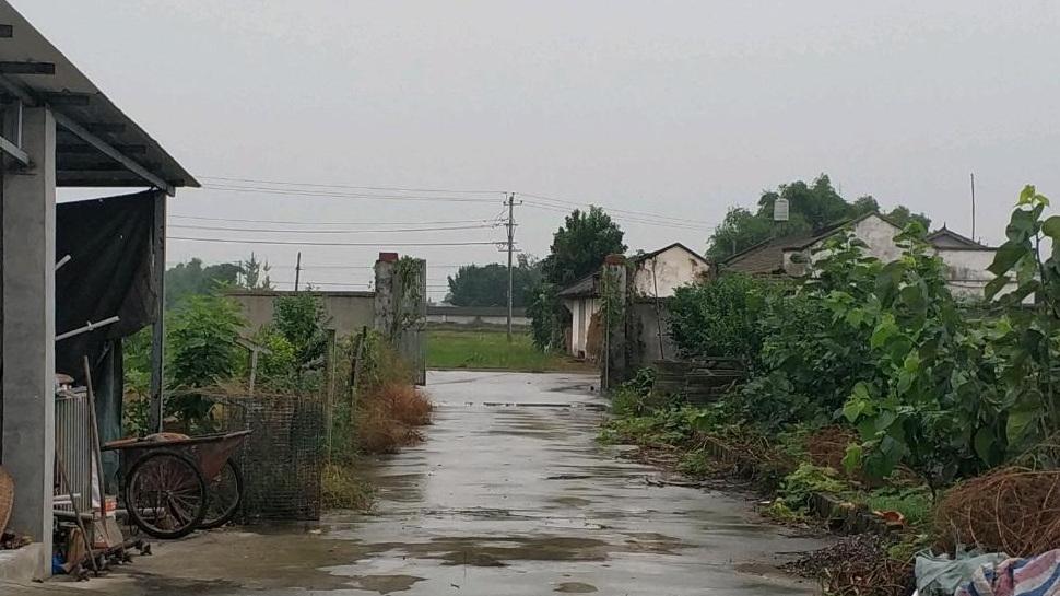阳宅风水：大门正对着一根高压线电杆，还有3颗桑树，有没有影响？
