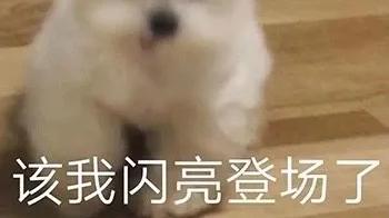 冷月恋爱顾问|喜欢的女生很内向？这几招让你迅速和她拉近距离！