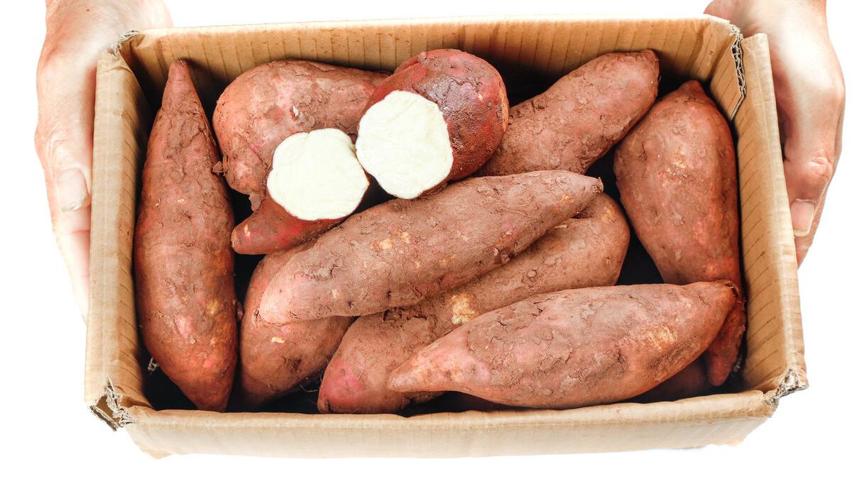 红薯|同样是红薯，为啥超市红心比白心的更受欢迎？老农道出其中缘由