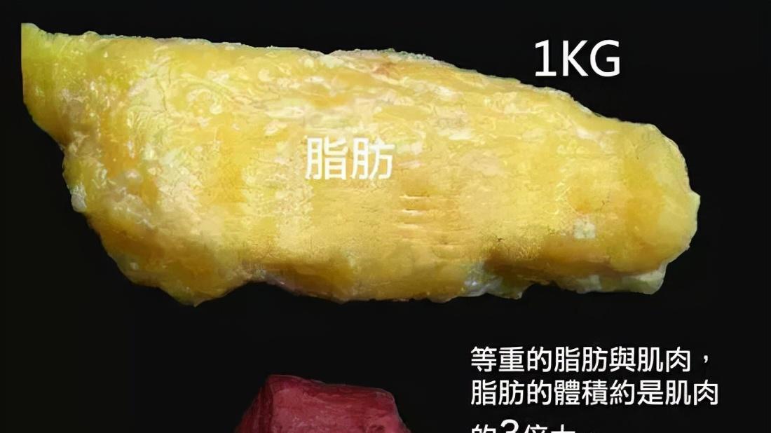 健身 减肥别只会节食了！一组居家燃脂训练，让你高效地瘦下来！