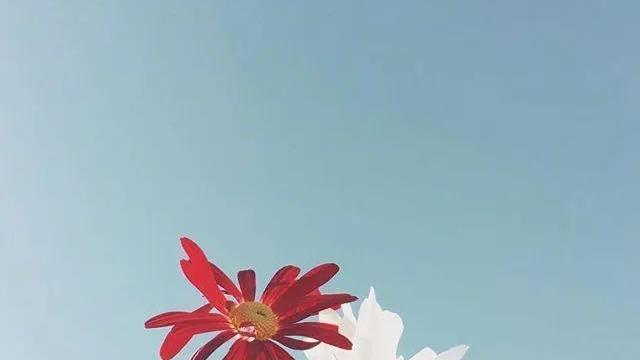 情感语录生活感悟|开导自己的心灵鸡汤，字字千金，富含哲理！