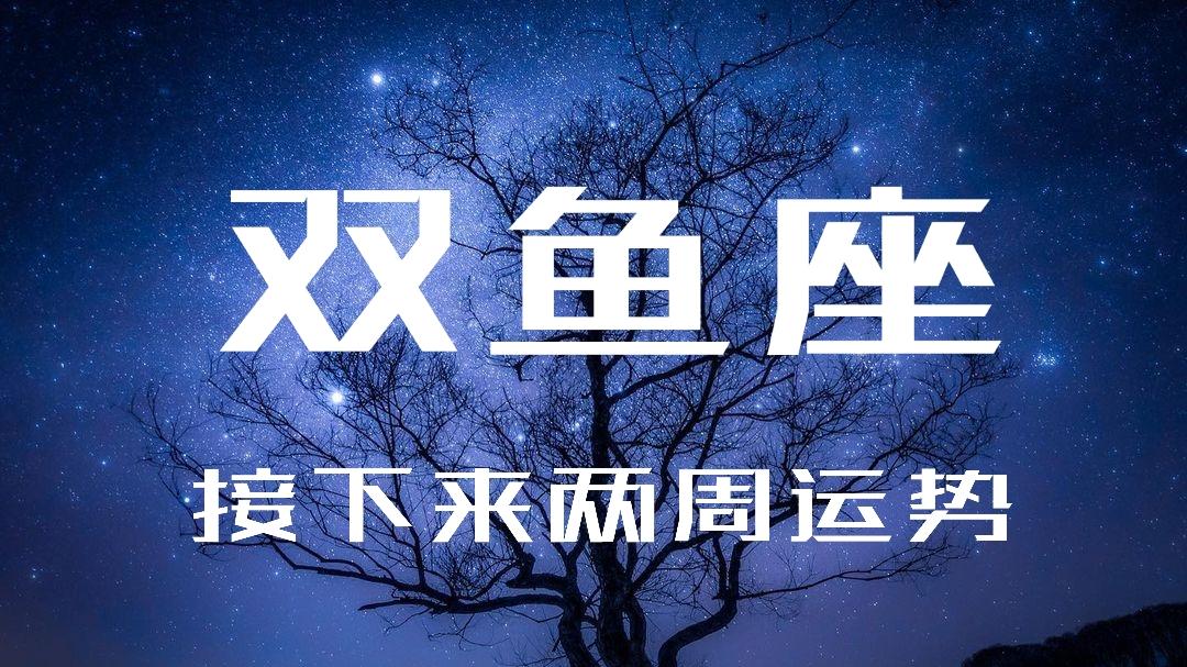 一兰塔罗|双子座-控制欲强，极度没有安全感