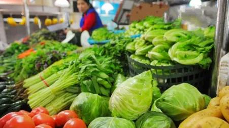 饺子|白菜价格2元一斤！双11你还“白菜价”吗