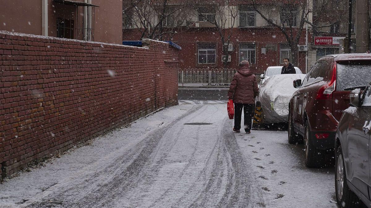 萝卜|北方常见的6种“过冬菜”，趁着便宜提前准备好，冬天吃喝不发愁