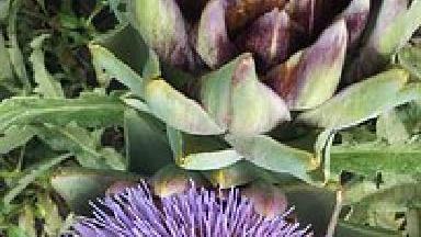 天凝|直击内心深处的说说短语，句句精辟，深入人心