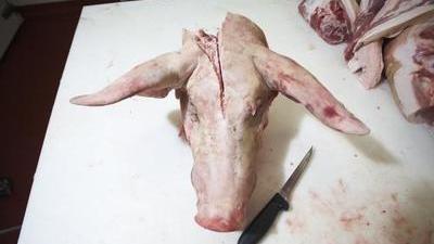 猪头|正宗的猪头肉做法有哪些？