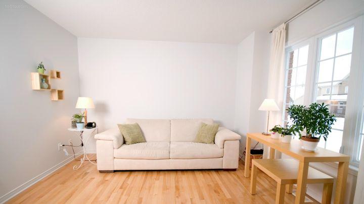 科学去甲醛，so easy