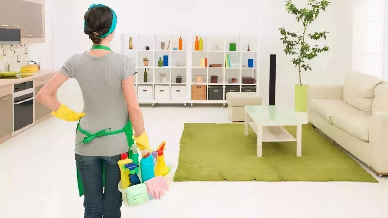 这6种花适合养在室内，装饰家居能起到很好的效果，新手也能养活