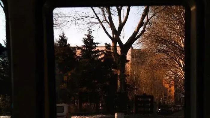 辰冉同学 文案丨社交猖狂症加好友申请文案