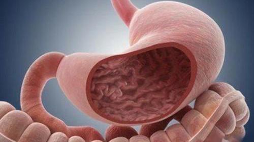 铠甲护士|肠胃好不好，手上能看出来吗？那么手上都有哪些表现呢？