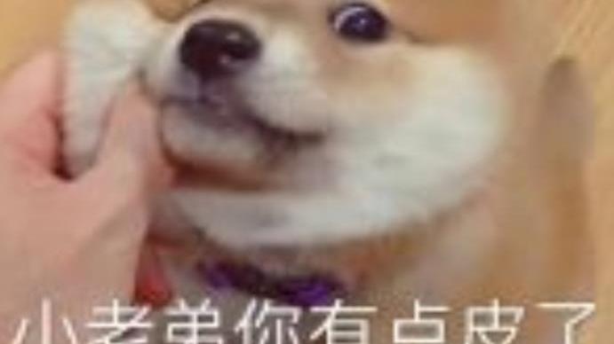 桉月|表情包：小老弟你有点皮了