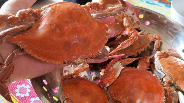 螃蟹|蒸螃蟹时，最忌直接上蒸锅，多加一步，蟹肉鲜香美味，营养不流失