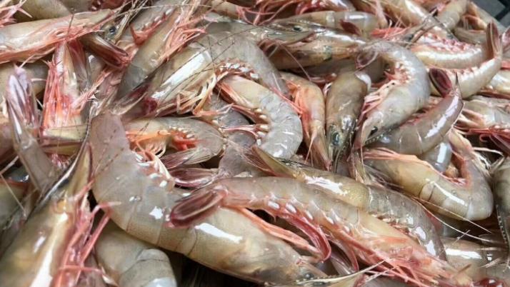 |含“寄生虫”最多的3种海鲜，没营养好贵，商家自己从不吃！