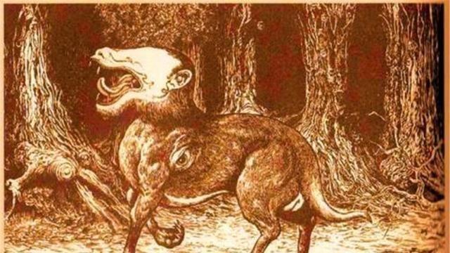三星堆发现“狍鸮”图案，羊身虎牙大嘴巴，猜测：可能是巨鬣狗