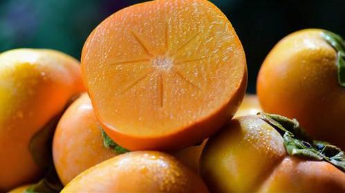 柿子|冷门宝藏——脆柿