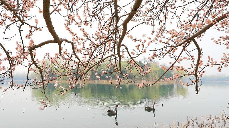 梦美儿 别允许谁一再伤害你