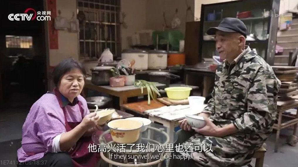 旺旺屋|别哭，我带你回家