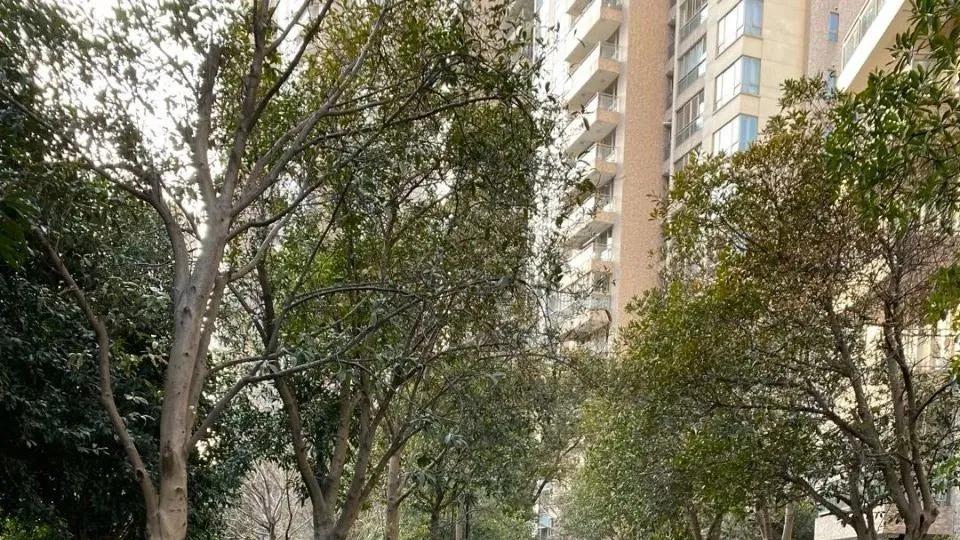 为了便宜买2楼新房，我入住近一年，用亲身经历来谈谈是否后悔过