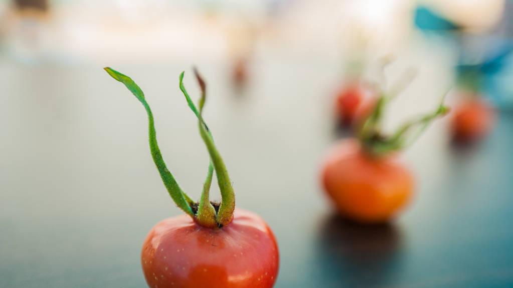 坚持1000天，每天写500字，第149天：如果我中了五百万