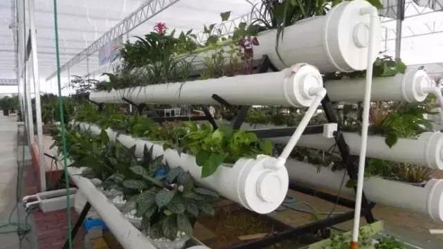 老婆把装修剩下的PVC管这样改，家里好几样家具都不用买了！