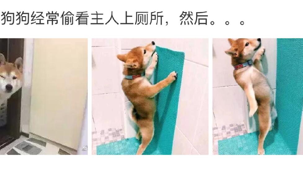 遇合情感攻略|“和网恋对象奔现了，目的都已经达到了！不知道现在跑还来得及吗？”哈哈哈