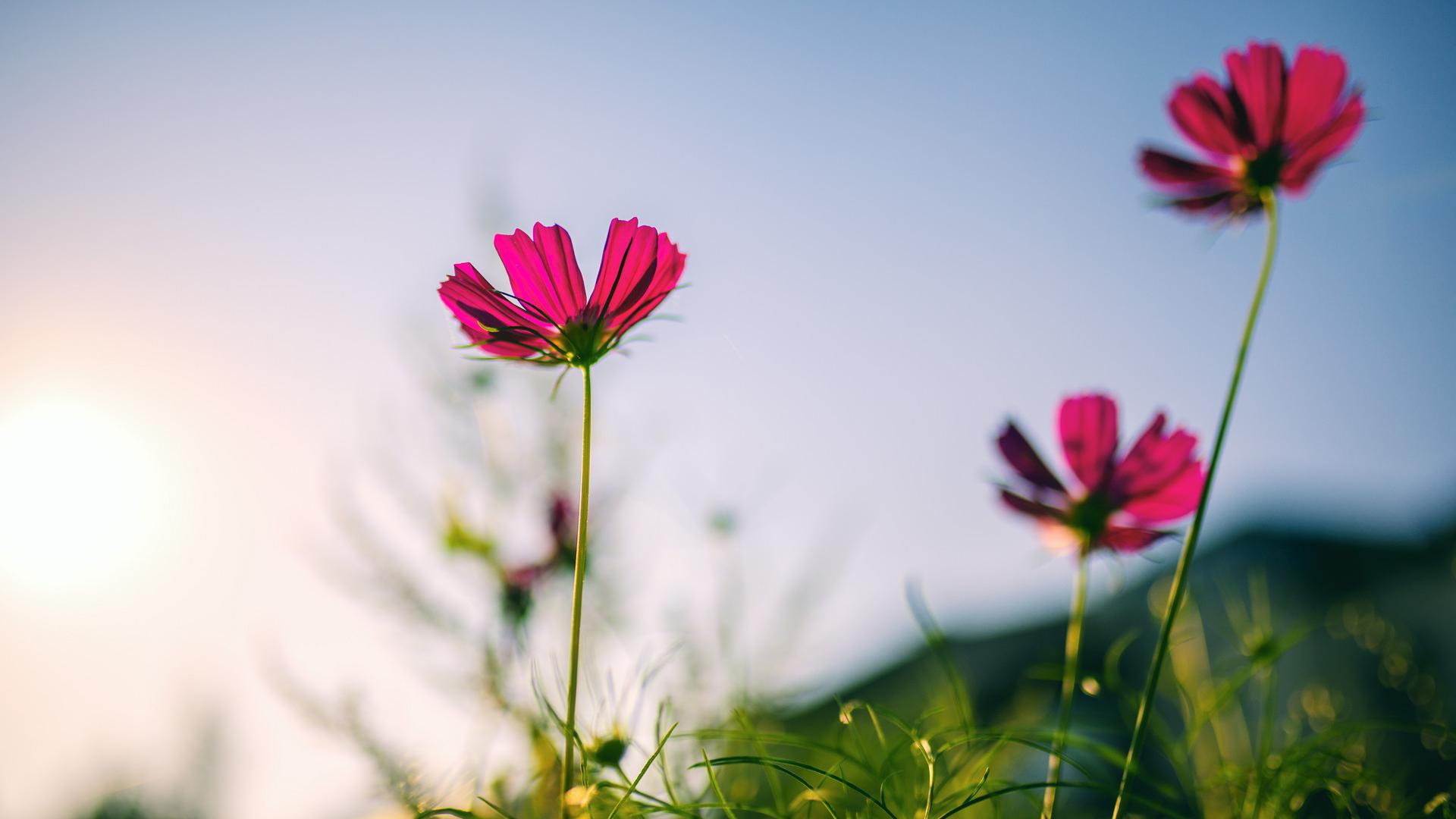 爱情摇篮|当你被人瞧不起时，学会这样做，才是最好的反击
