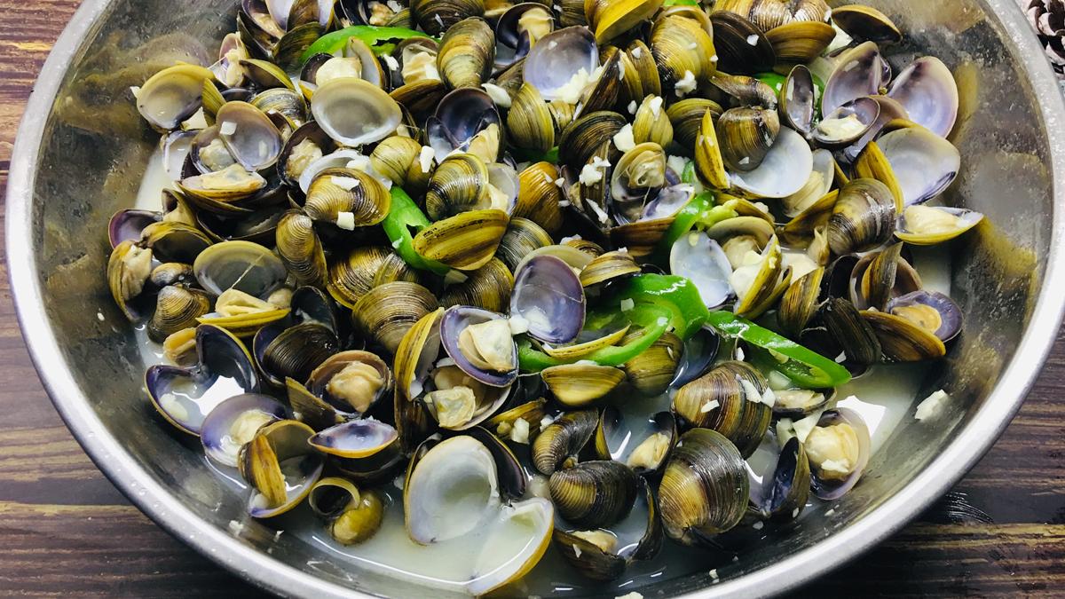 鮑魚|它是“西江鮑魚”，鮮甜爽口，肉質肥美，一口一個，停不下口