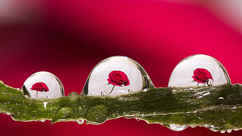 梦美儿|暧昧的悲剧