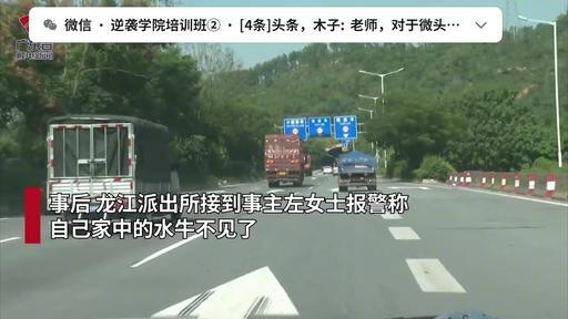 梦幻的笑容 广东佛山，男子开车在快速路上，突然绿化带冲出一头牛，差点撞上