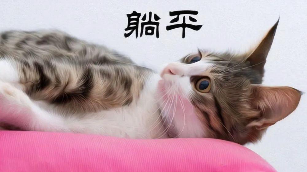 护肤 为什么你的脸爱出油？背后残酷真相曝光！