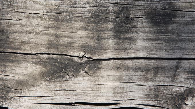 袁大岛|成年人的世界，只为自己而战