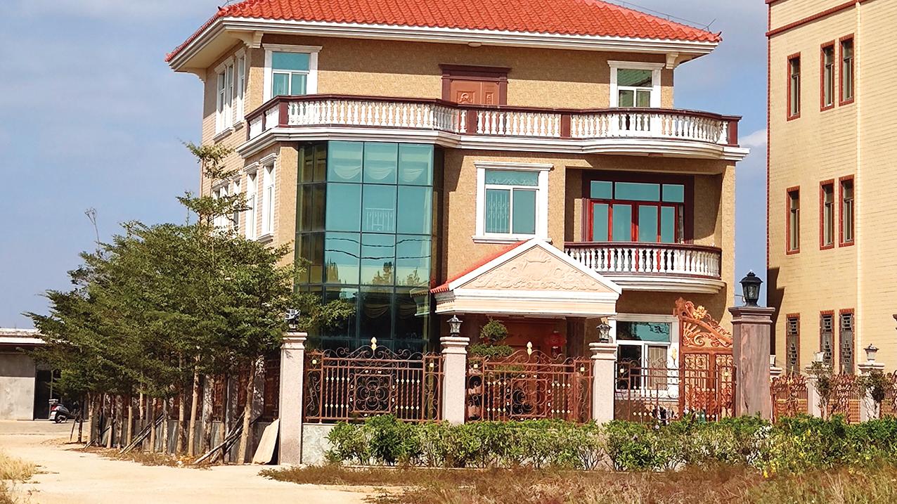 合成树脂瓦自建房案例赏析