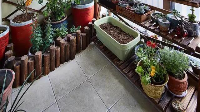 这些小户型阳台，既可以晾衣服，也可以赏花，好羡慕！