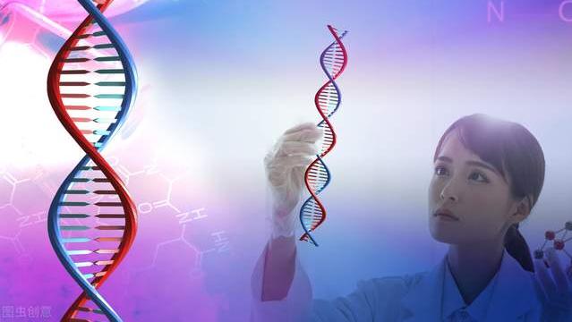 经络穴位理论敷熨|多囊肾不是不治之症！囊肿可以缩小，肾友们加油