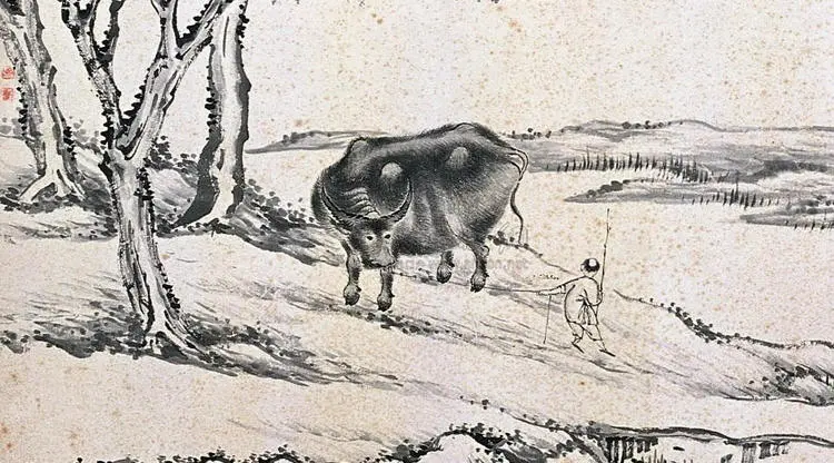 玄风八字感情|道教禁忌“四不食”，你知道是为什么吗？