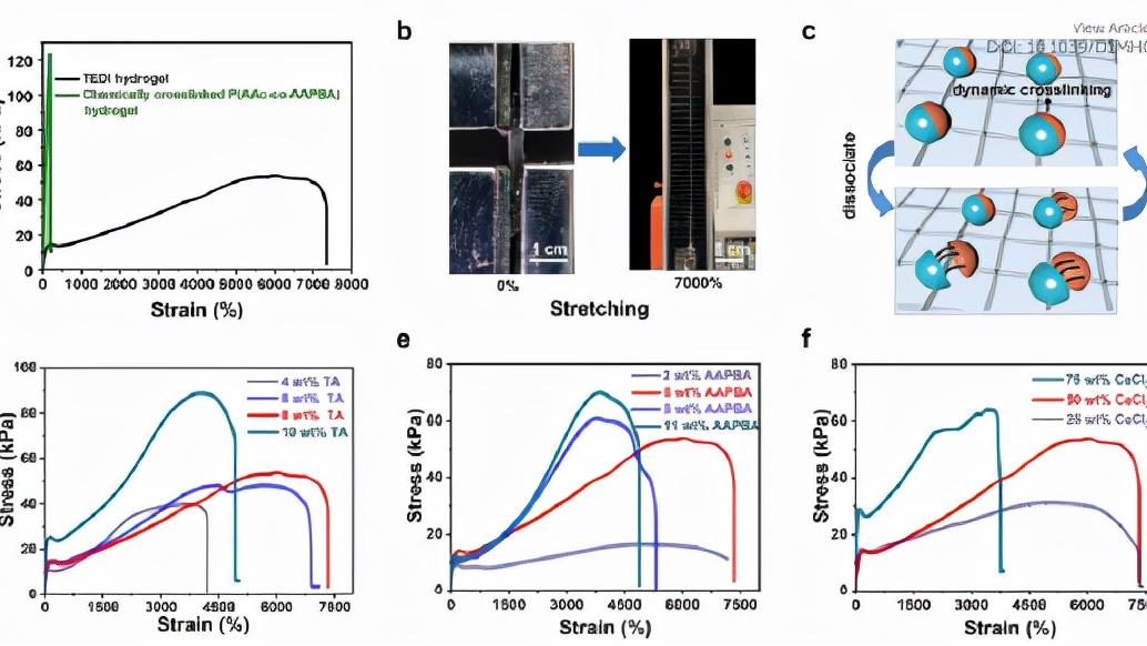 香港城市大学张超/王钻开：超拉伸、高粘性和自修复水凝胶